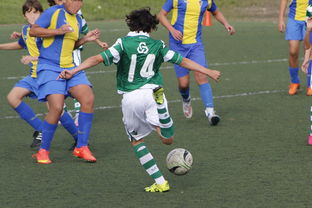 中国足球外援依赖度趋势分析，中国足球外援依赖度趋势分析图